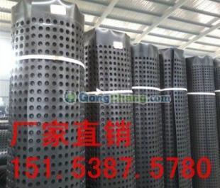 供應(yīng)安徽排水板--=安徽排水板銷售價(jià)格_建筑建材_世界工廠網(wǎng)中國(guó)產(chǎn)品信息庫(kù)